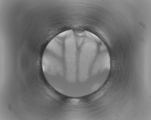 X0000114100265200911161104