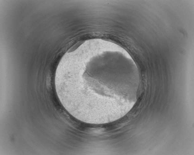 X0000114100266200911161104