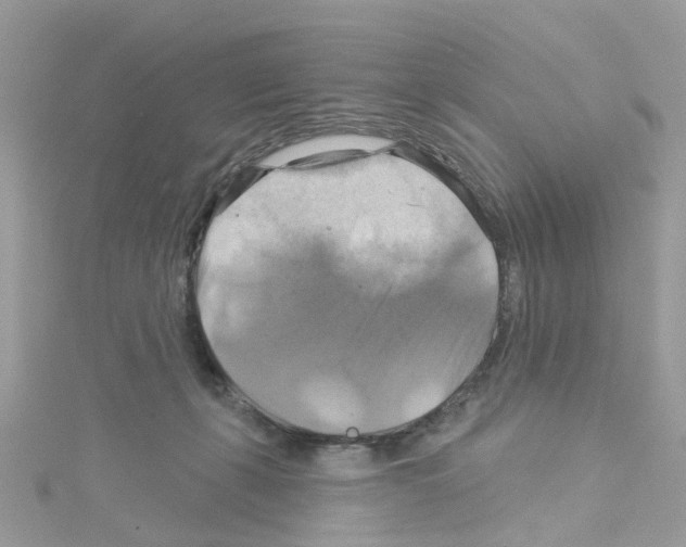 X0000114100271200911161104