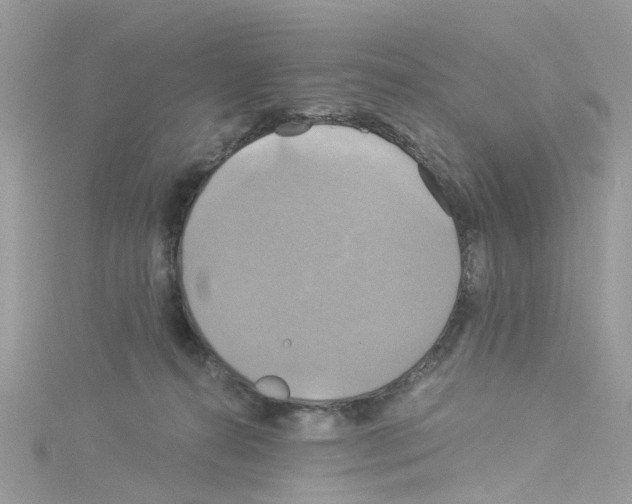 X0000114100272200911161104