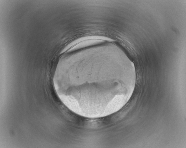 X0000114100277200911161104