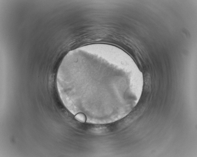 X0000114100278200911161104