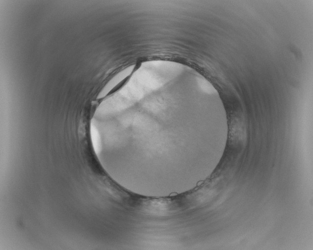 X0000114100282200911161104