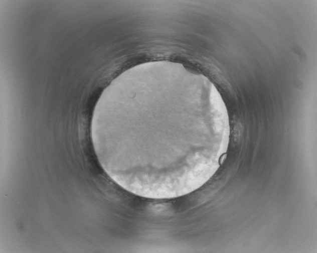 X0000114100283200911161104