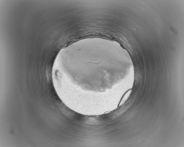 X0000114100285200911161104