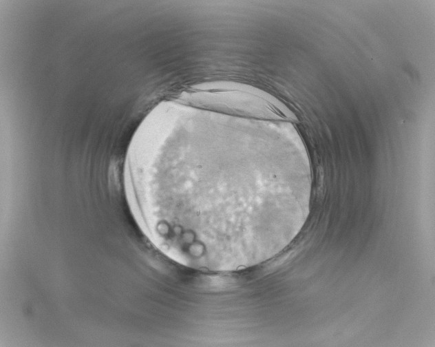 X0000114100286200911161104