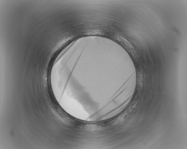 X0000114100298200911161104