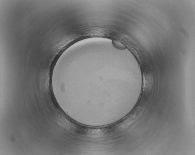 X0000114100301200911161104