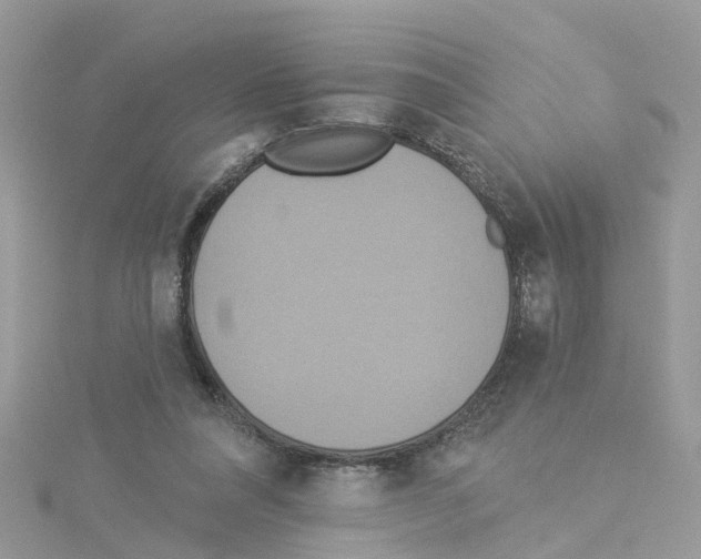 X0000114100304200911161103