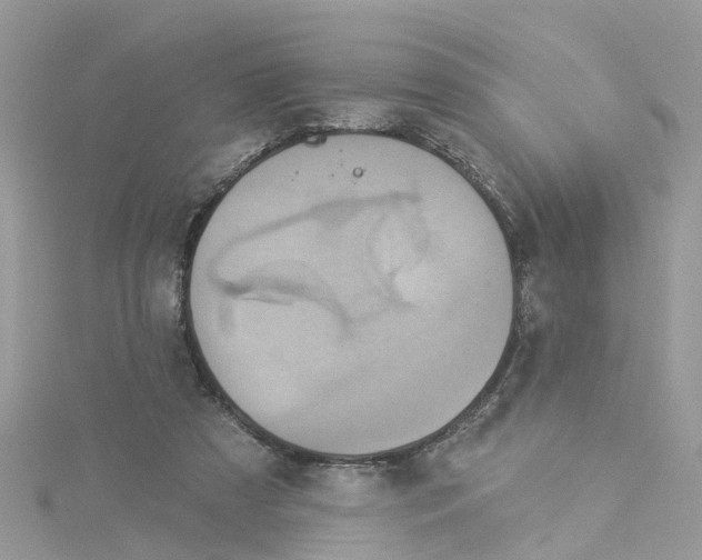 X0000114100305200911161103