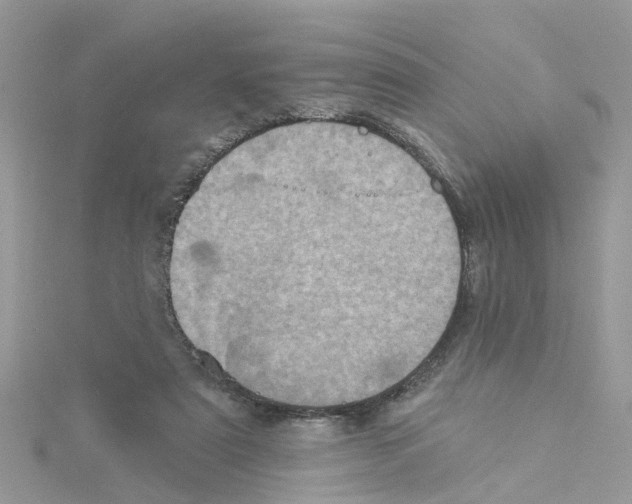 X0000114100307200911161103