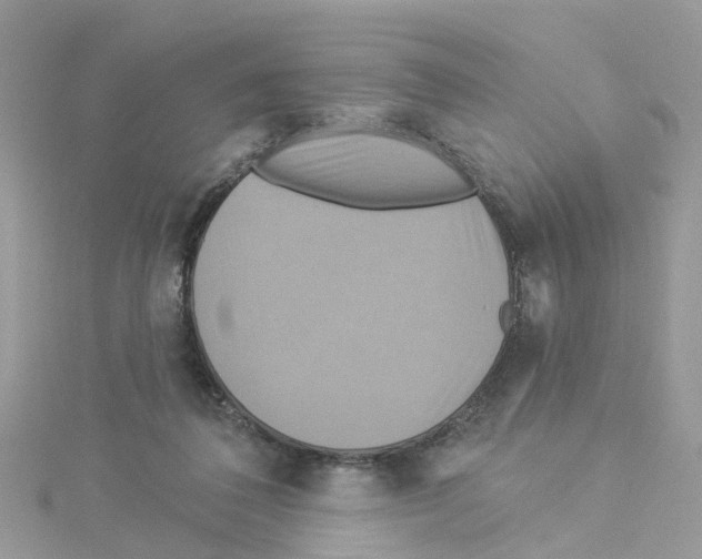 X0000114100308200911161103