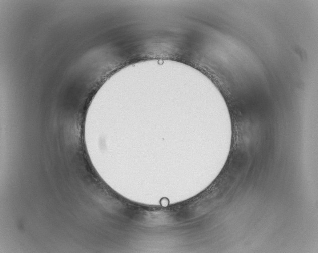 X0000114100309200911161103