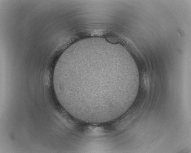 X0000114100311200911161103