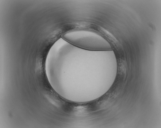 X0000114100312200911161103