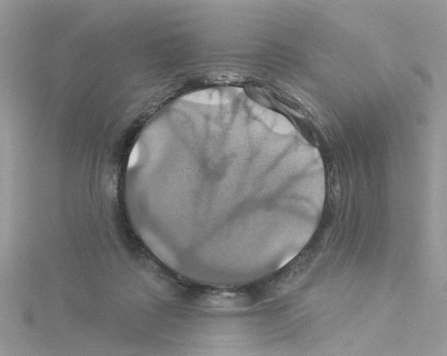 X0000114100315200911161103