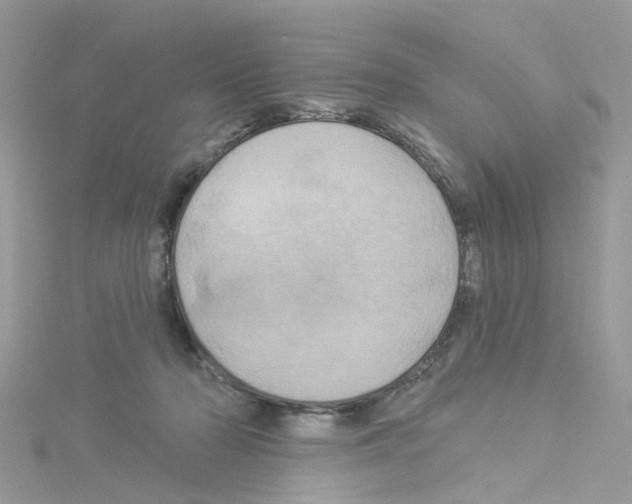 X0000114100318200911161103