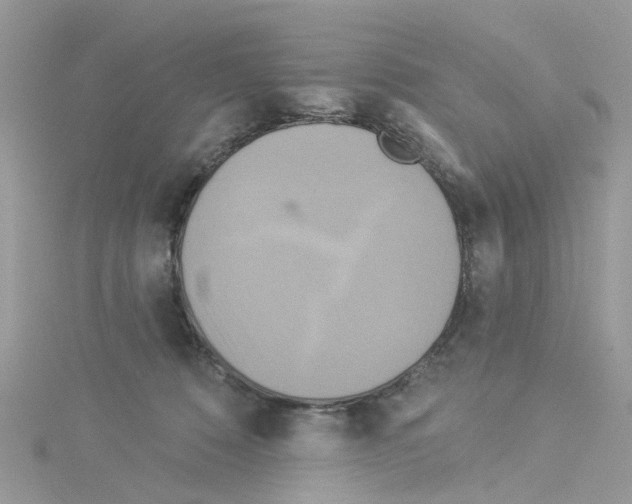 X0000114100320200911161103