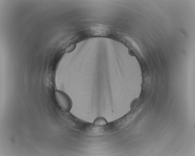 X0000114100325200911161103