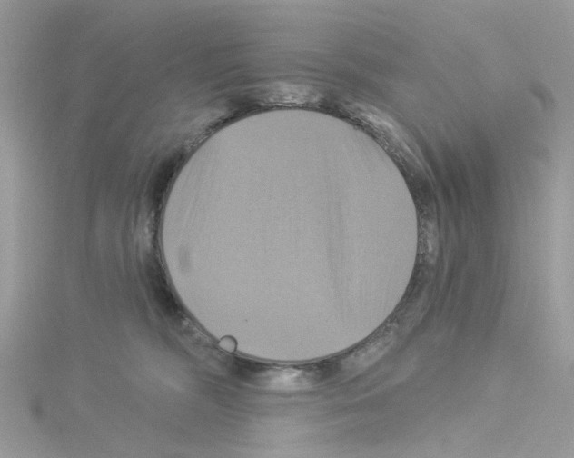 X0000114100326200911161103