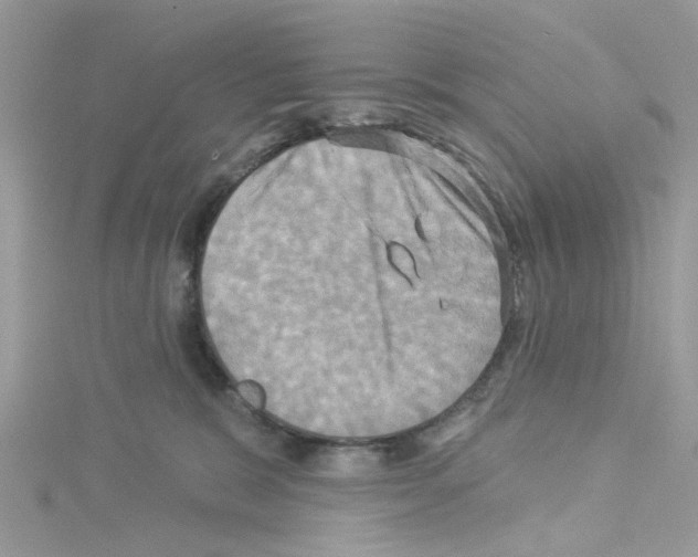 X0000114100327200911161103