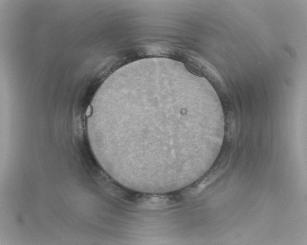 X0000114100329200911161103