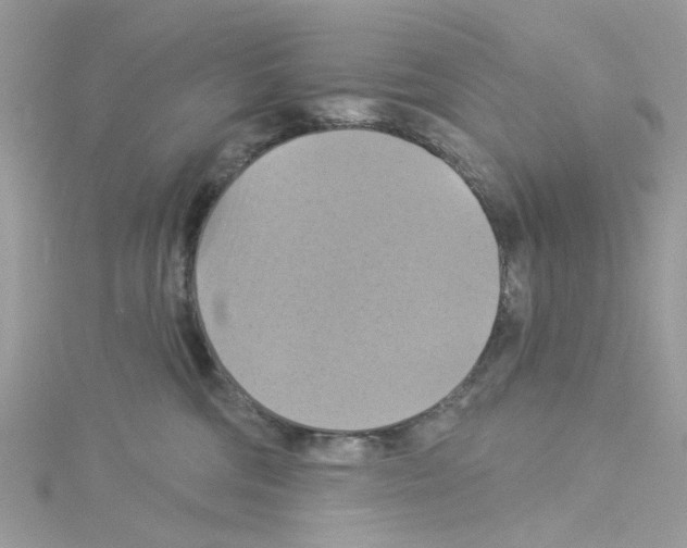 X0000114100330200911161103