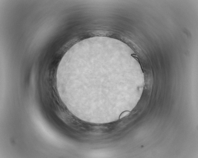 X0000114100334200911161103