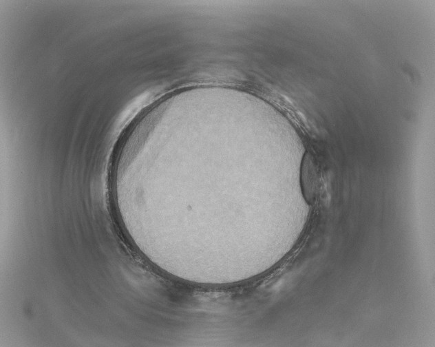 X0000114100340200911161102