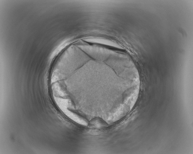 X0000114100341200911161102