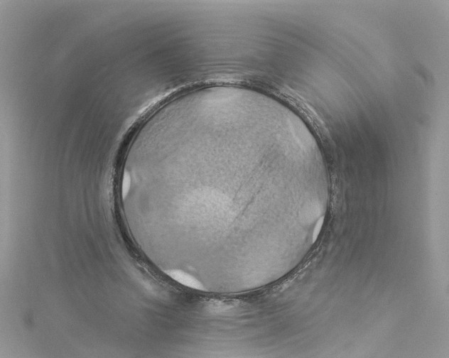 X0000114100346200911161102