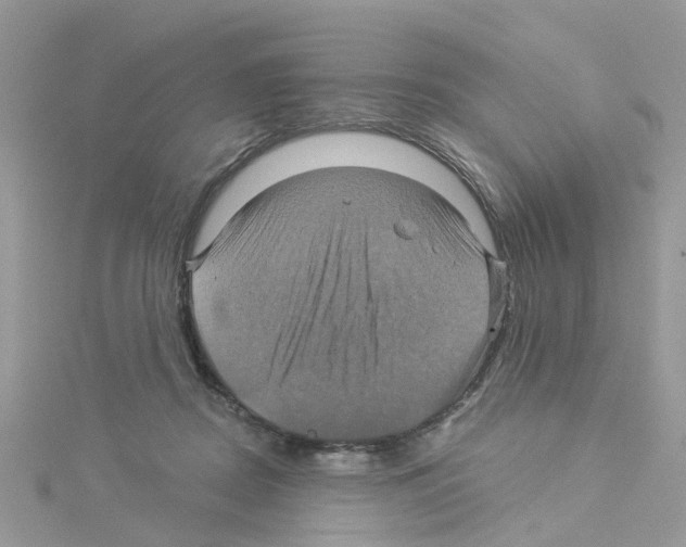 X0000114100362200911161103