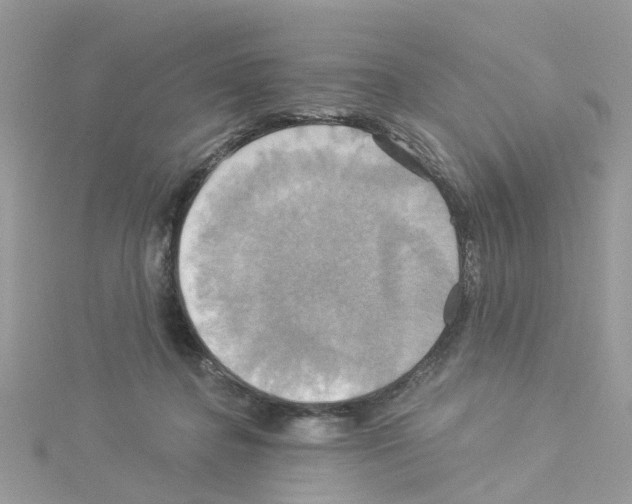 X0000114100364200911161103