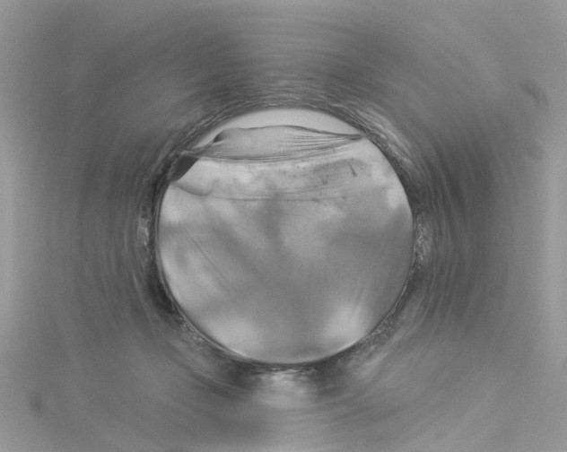 X0000114100365200911161103