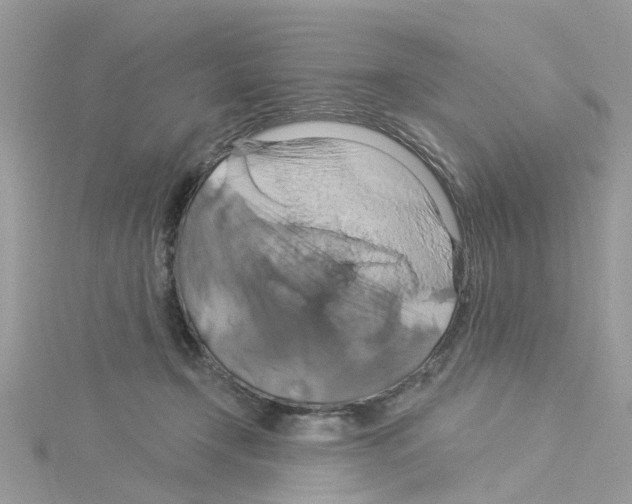 X0000114100366200911161103