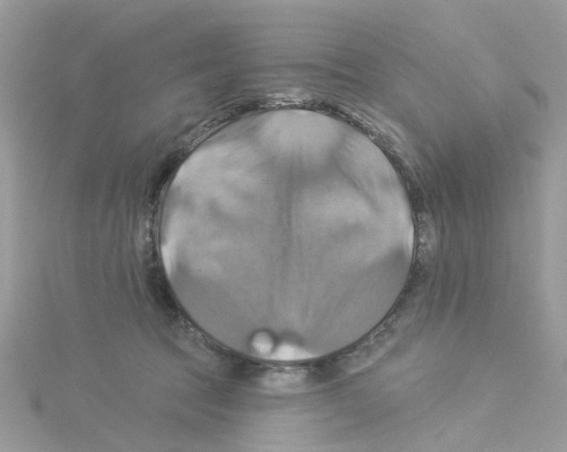 X0000114100369200911161103