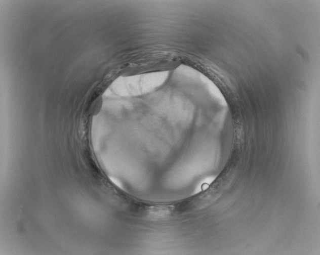 X0000114100373200911161103