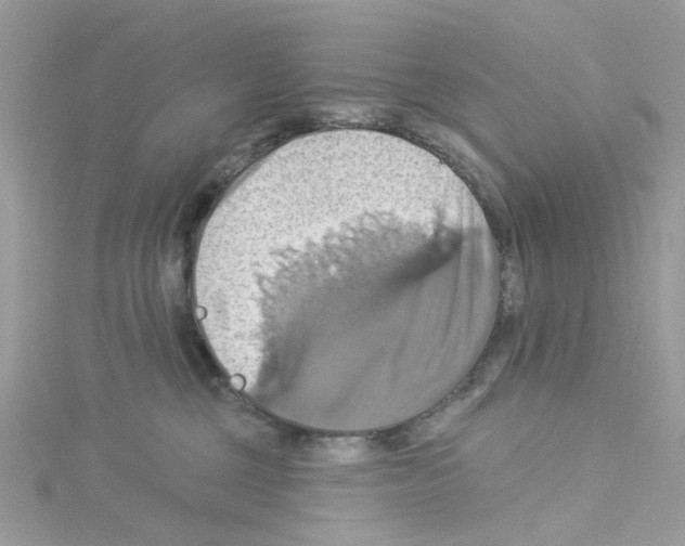 X0000114100377200911161103