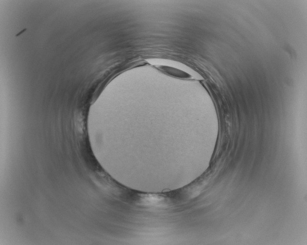 X0000114100380200911161103