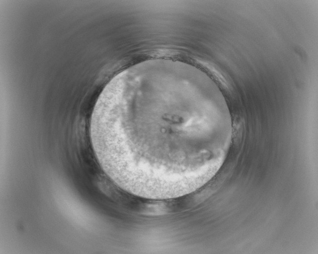 X0000114100381200911161103