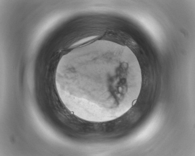 X0000114100383200911161103