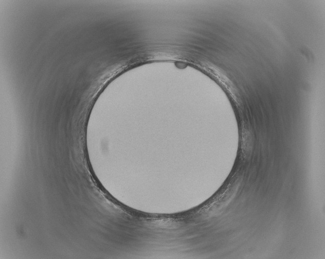 X0000114100385200911161102