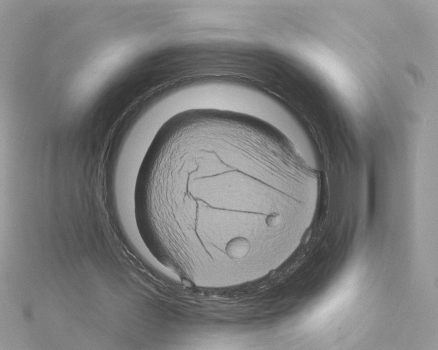 X0000114100387200911161102