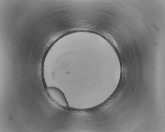 X0000114100389200911161102