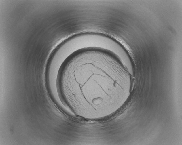 X0000114100391200911161102