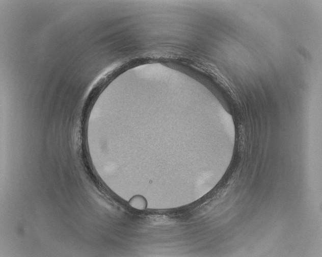 X0000114100392200911161102