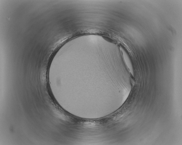 X0000114100394200911161102