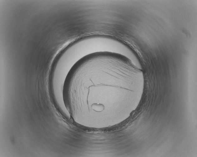 X0000114100395200911161102