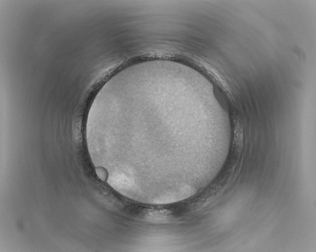 X0000114100403200911161102