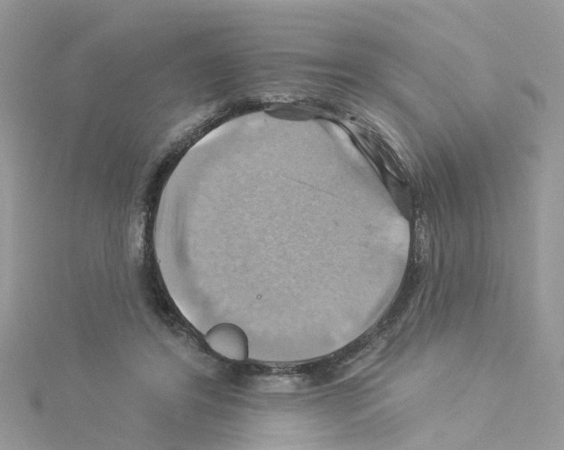 X0000114100404200911161102